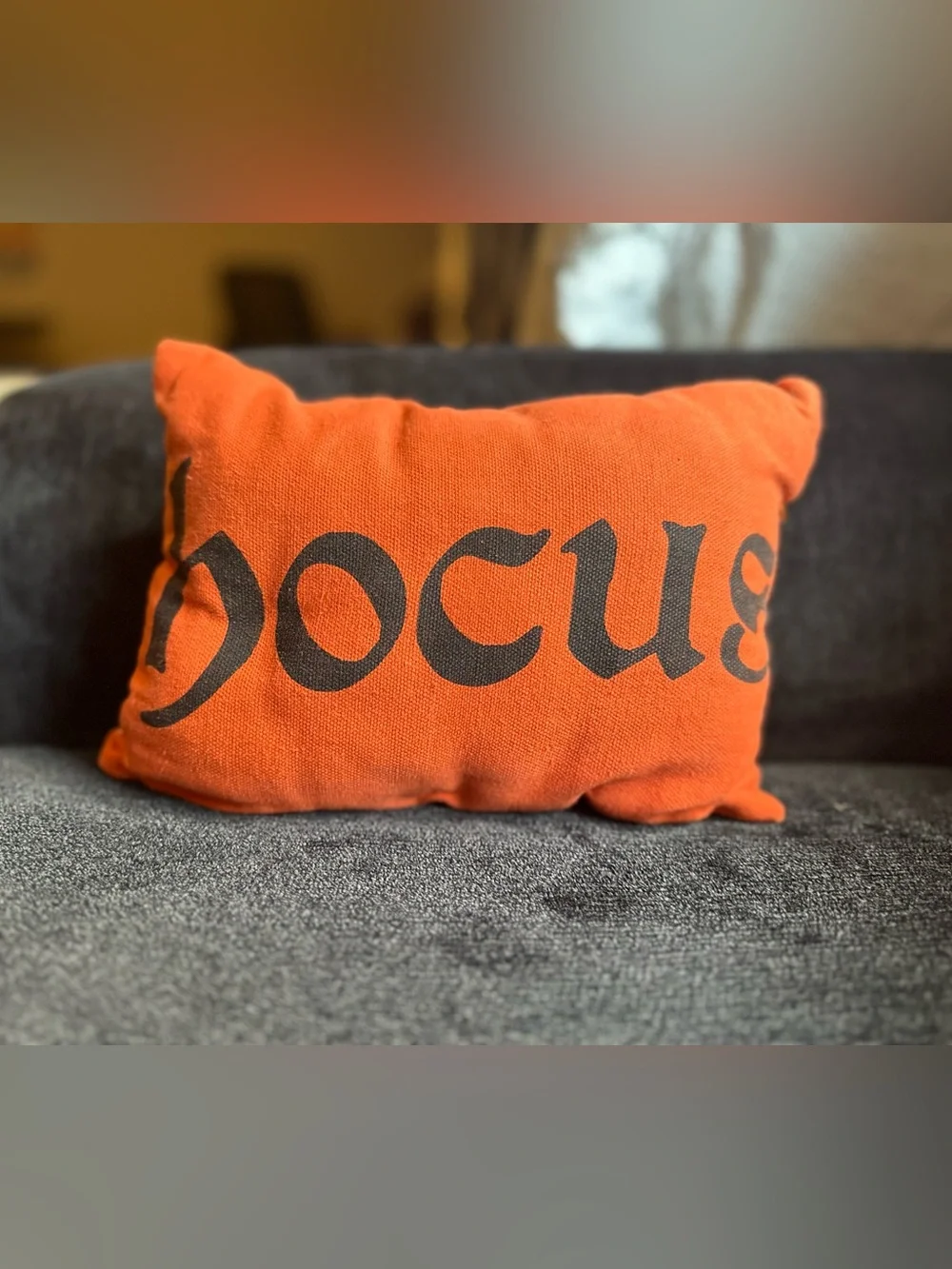 Hocus Pocus Halloween Accent Pillow Set